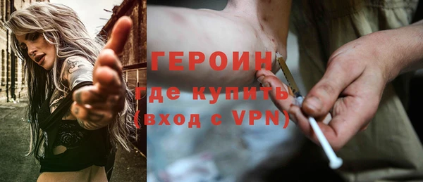 тгк Дмитриев