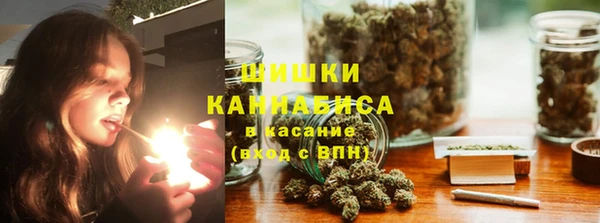 сатива Дмитровск