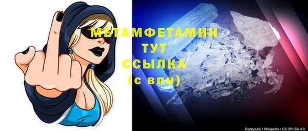 сатива Дмитровск