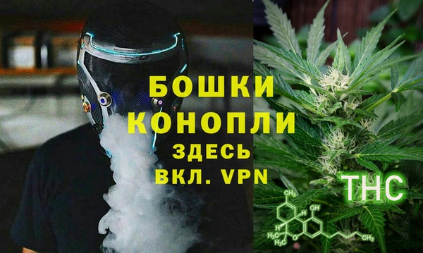 сатива Дмитровск