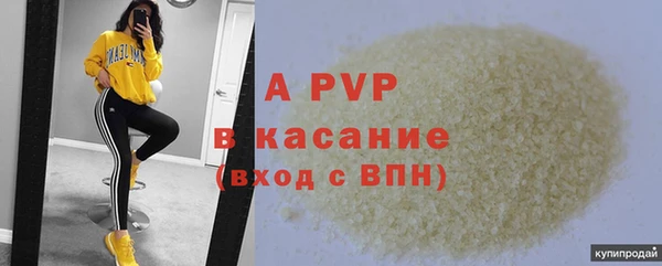сатива Дмитровск
