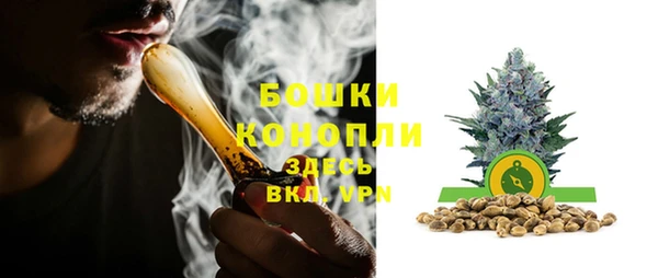сатива Дмитровск