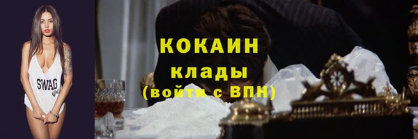 сатива Дмитровск