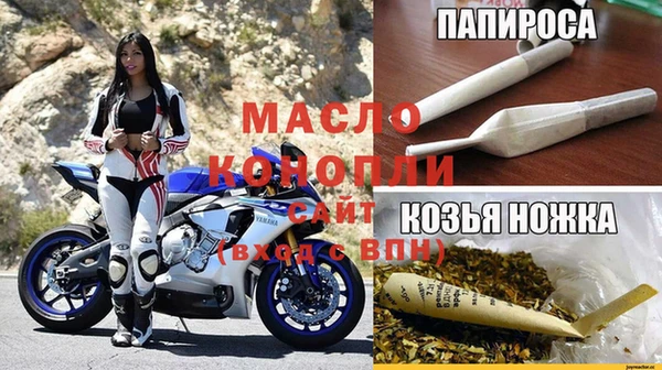 тгк Дмитриев