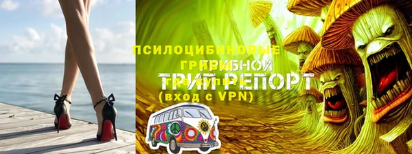 сатива Дмитровск