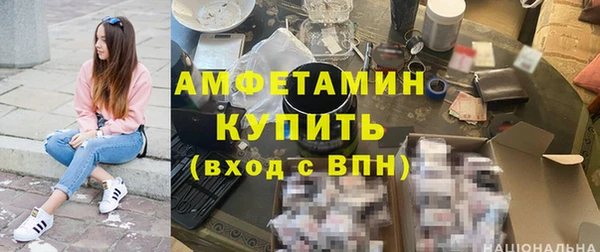 тгк Дмитриев