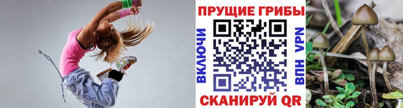 даркнет формула  наркошоп  Исилькуль  Галлюциногенные грибы Psilocybine cubensis 